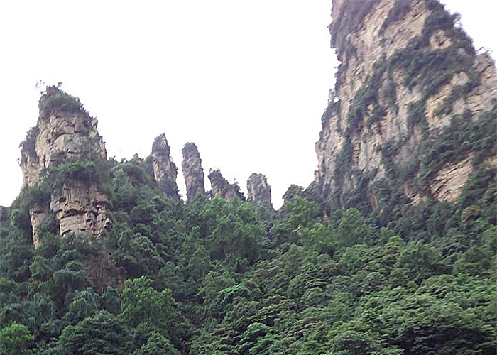 美高梅·MGM(中国游)官网正网