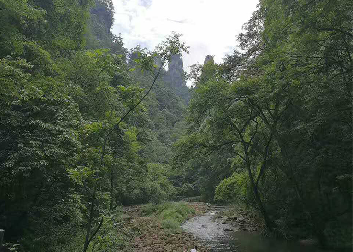 美高梅·MGM(中国游)官网正网